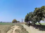Prime Residential Plot for Sale in Chakiya, Arrah, Bihar – Only 2 KM f