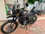 Brand new 411