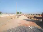 10 Bigha land for sale