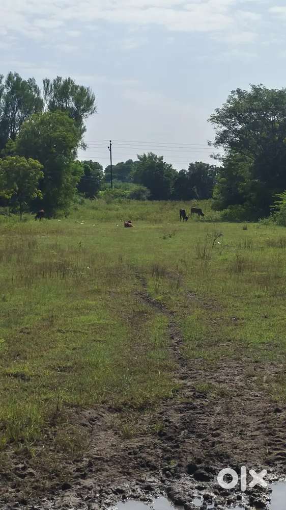 Shevgaon paithan road touch property