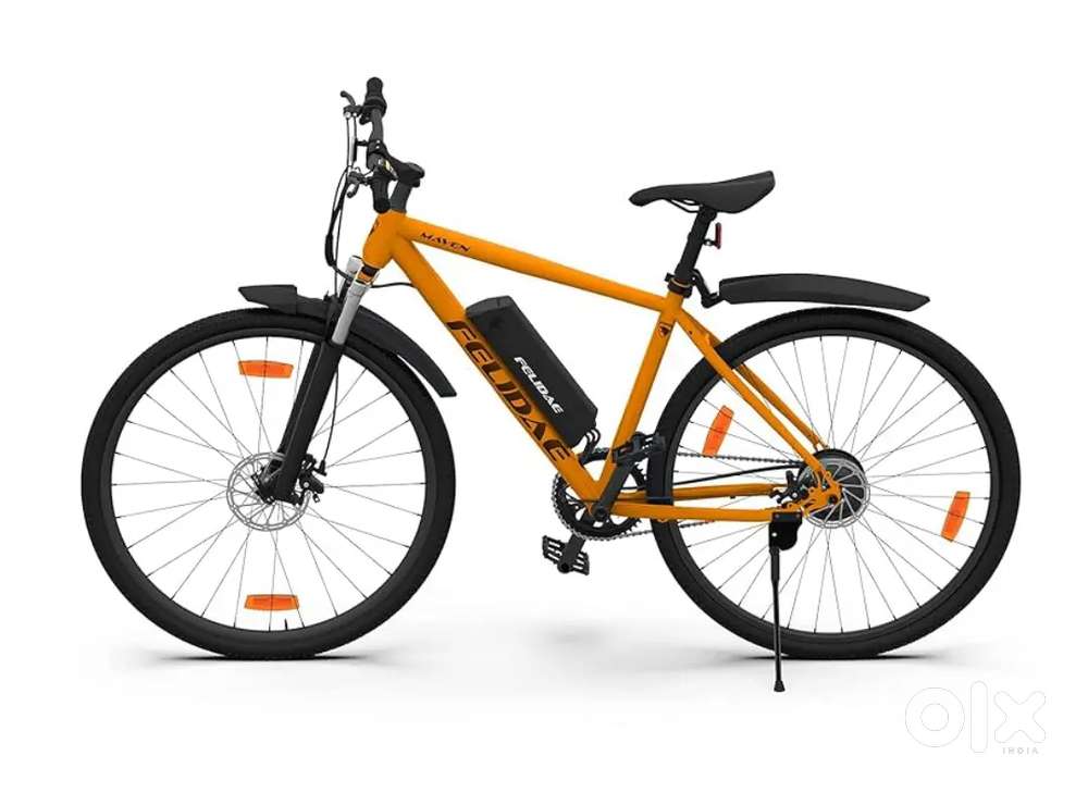 Felidae EV Cycle