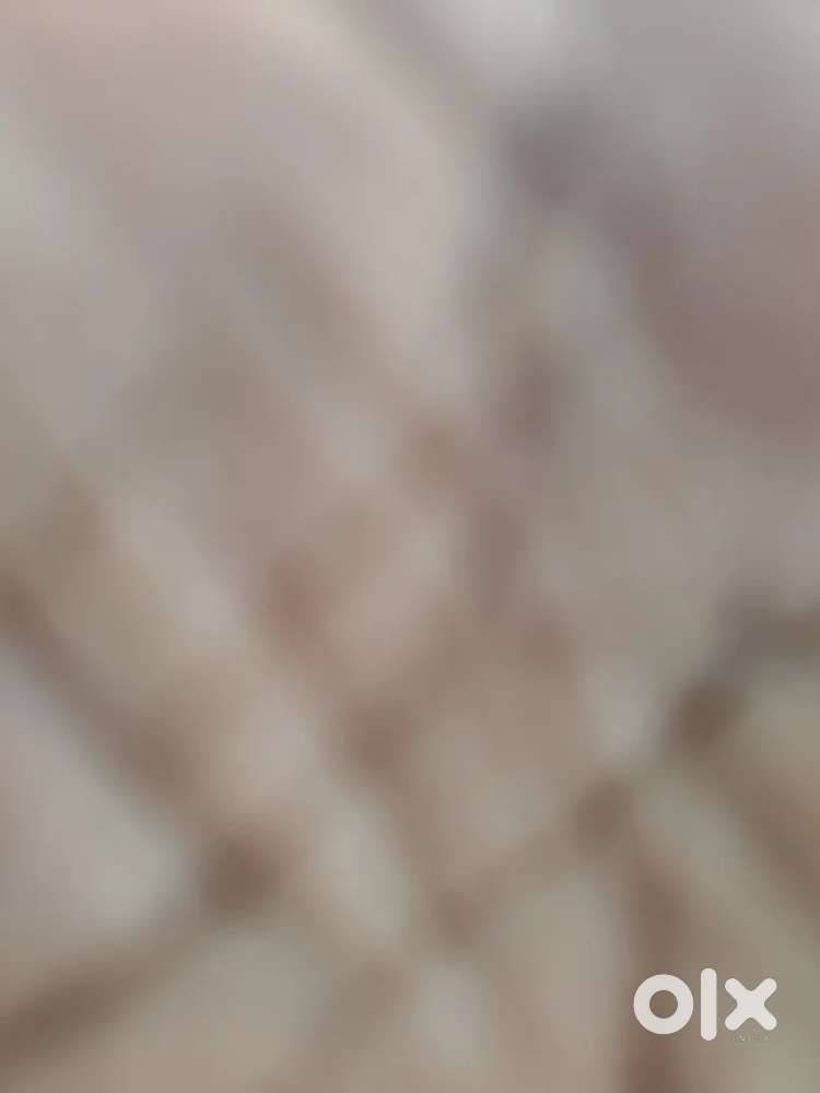 personal driver available here contact daily income