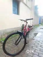 Popstar cadilator