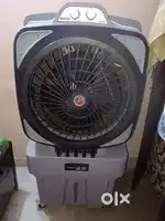 Champion jumbo cooler new
