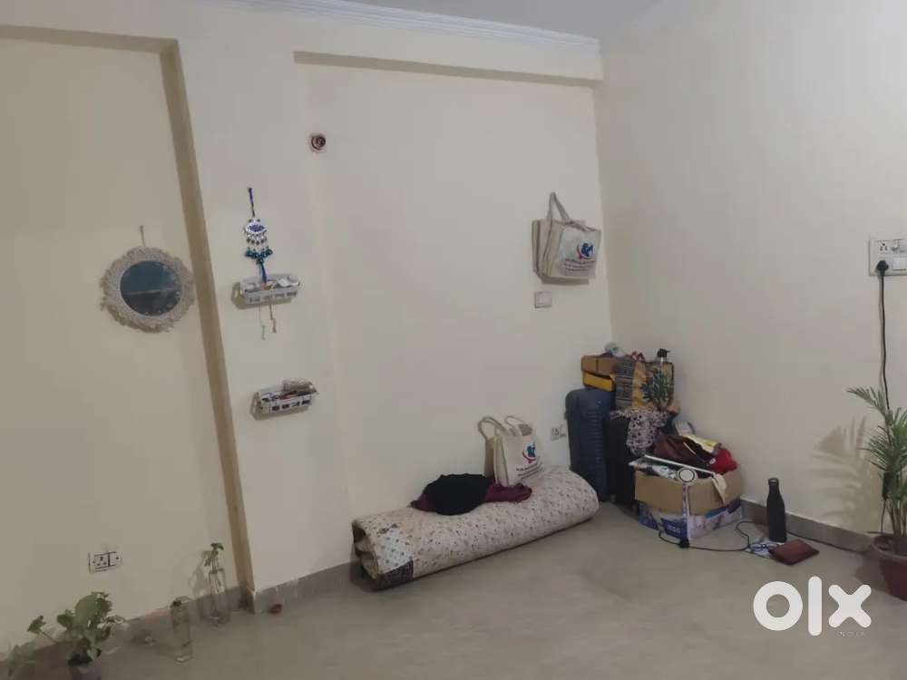 Looking for female flatmate