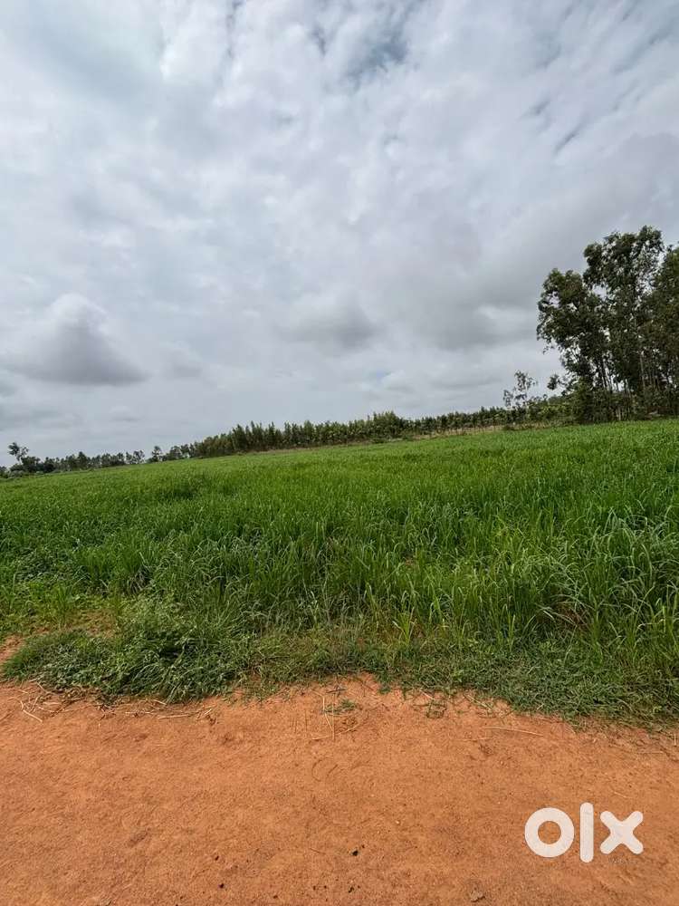 agricultural land 42 gunta , coating price 1.68cr slightly negotiable