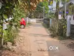 Veegaland pallikara