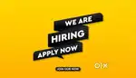 Telecalling executive(no target)