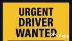 Personal driver needed