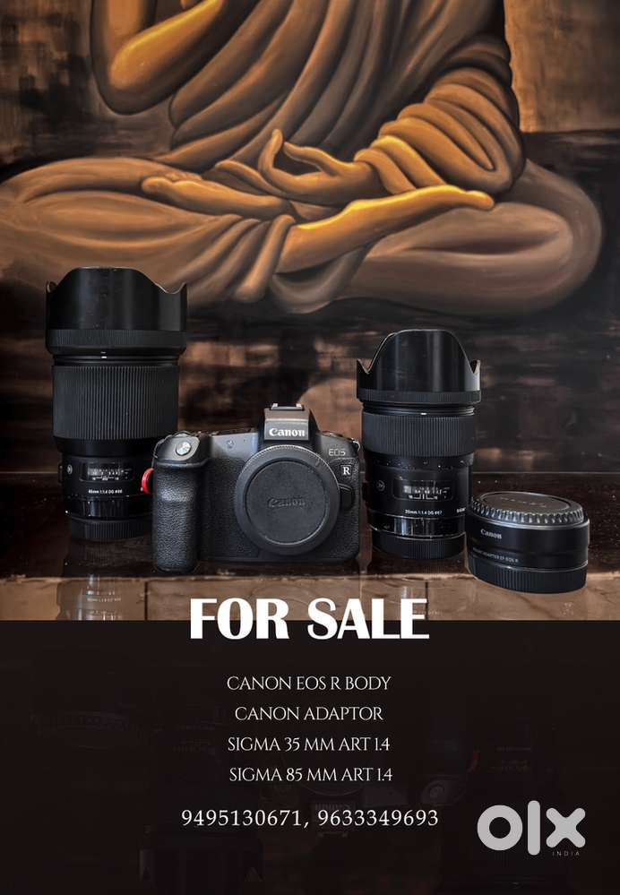 Canon eos r and sigma lenses orginal batteries and chrger