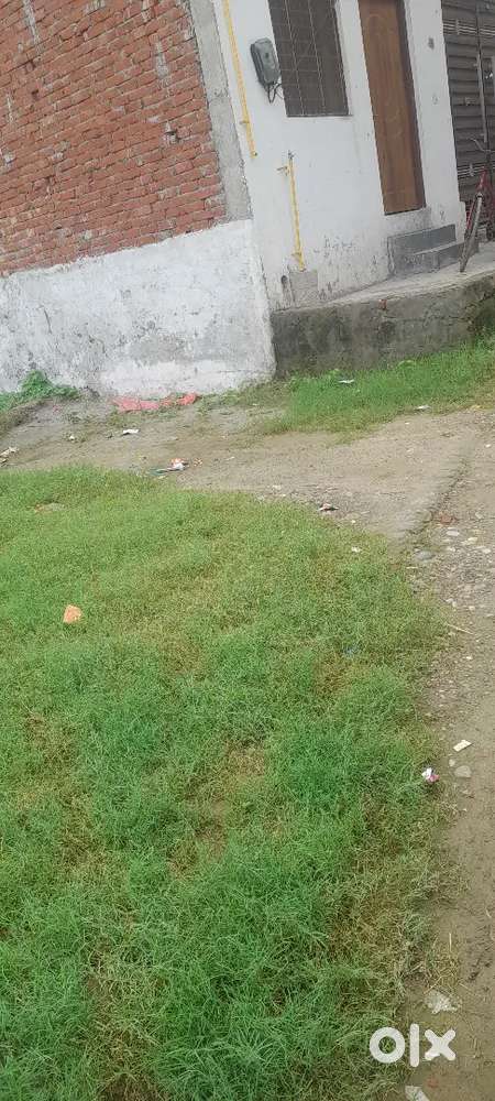 Water. Electricity. Gas supply availability