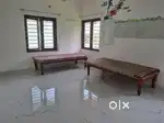 Working ladies and female students