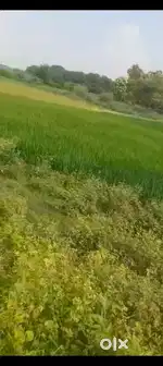 On ring road akelawa