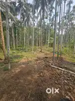 9 acres Land For sale at PADIYOTTUCHAL CHERUPUZA