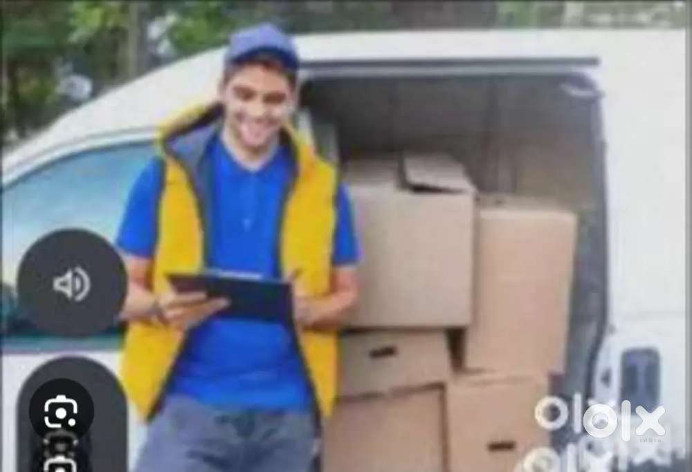 Parcel Van helper job