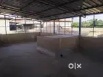 flat for rent