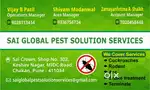 Pest control services All type of work