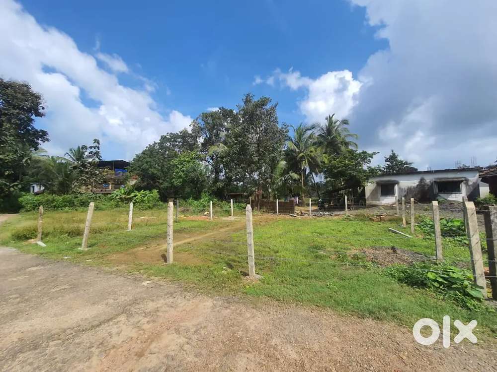 1.5 guntha plot for sale in majgoan near Sawantwadi city