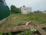 Plot sale in thalatheru