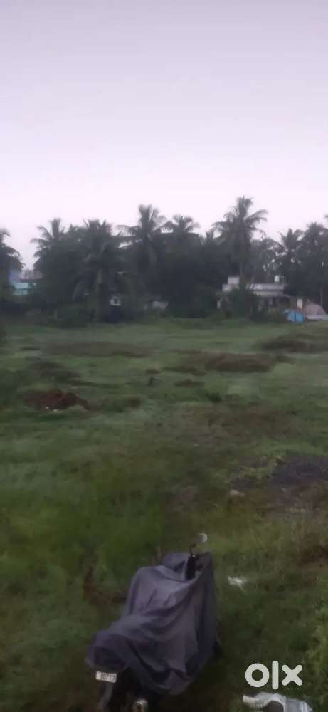 Kojuluru yam rod fr Ct 500000