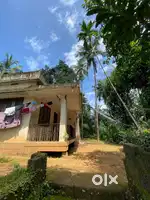 “50 Cent Plot for Sale – Road Access,near kondotty morayur,near to NH