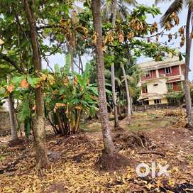 14 Cents Land (Purayidam) in Kaloor Azad Road at 22 Lakh Per Cent