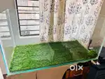 Aquarium at reasonable price and many more