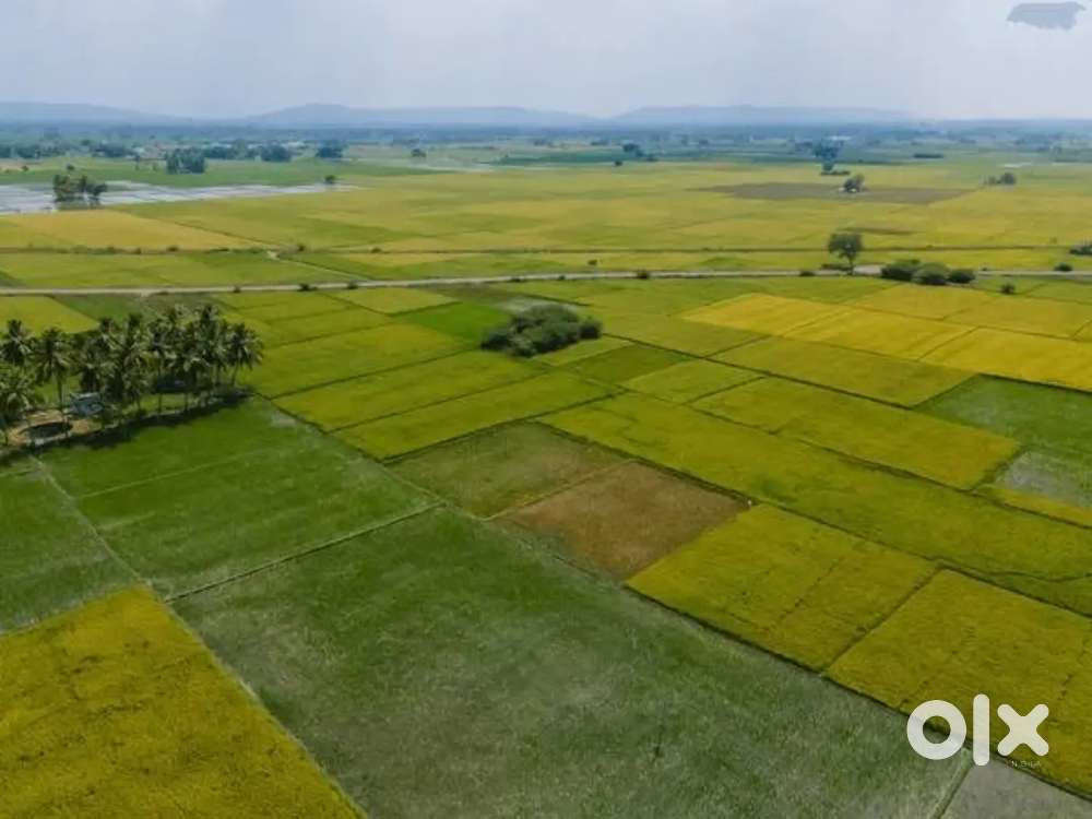 6 kanal agricultural land for sale