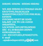 REAL ESTATE SALSE&DATA ENTRY FOR OFFICE