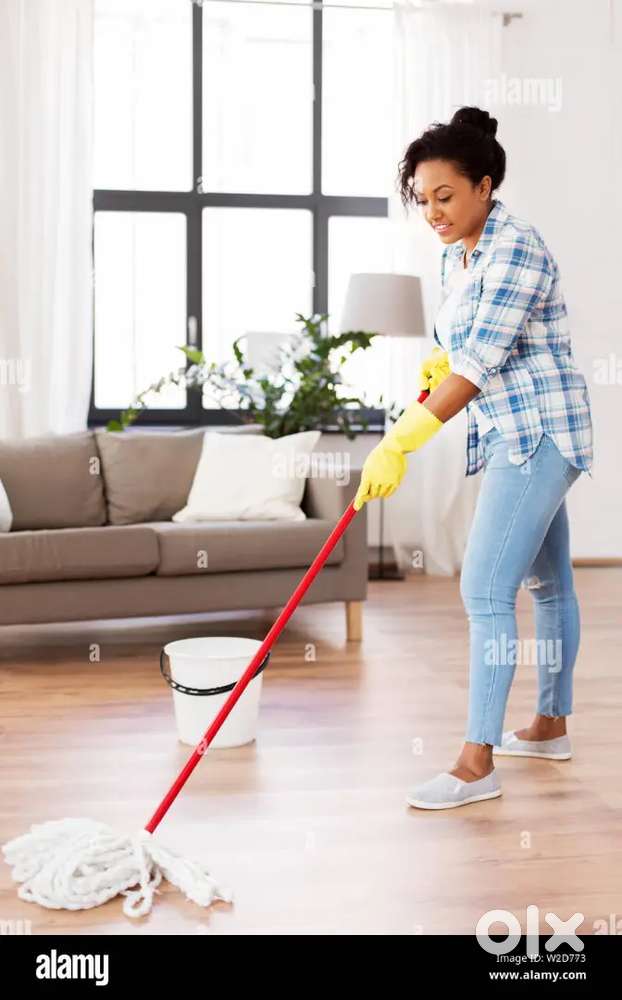 Cleaning ladies