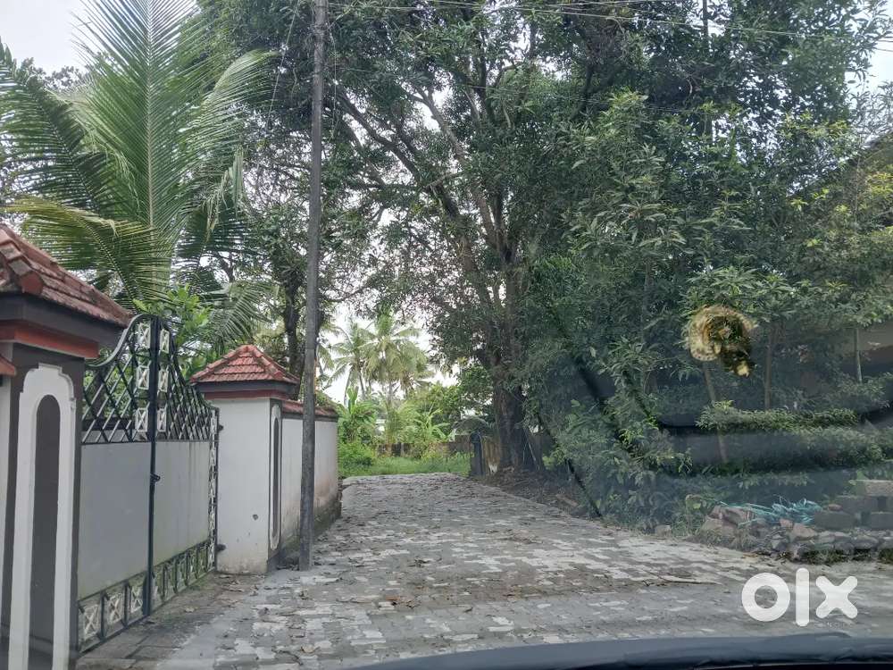 9 cent land tripunithura karigachira