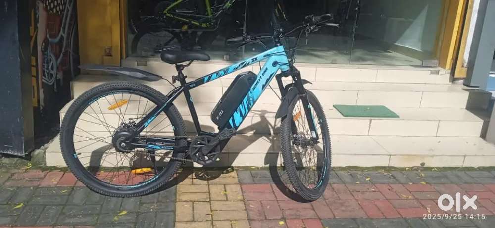 E-91 model 20 day old