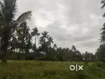 1.4 acre without coconuts 2 pora oneday water with kinnaru