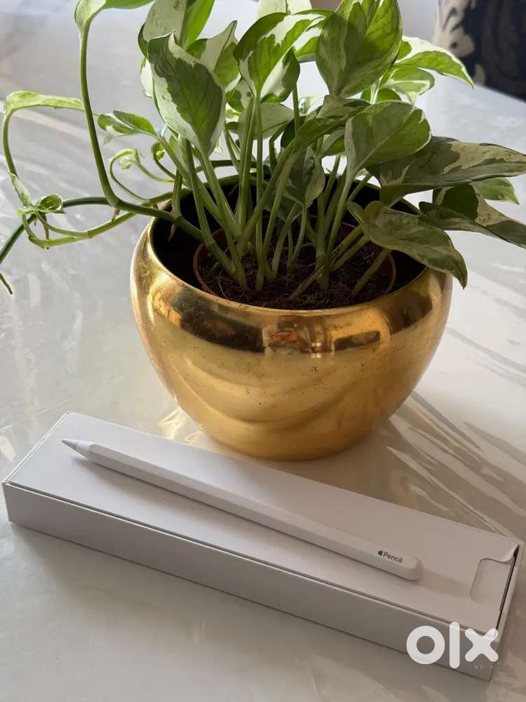 [ Like NEW] Apple Pencil 2nd generation