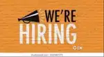 SALES EXECUTIVE