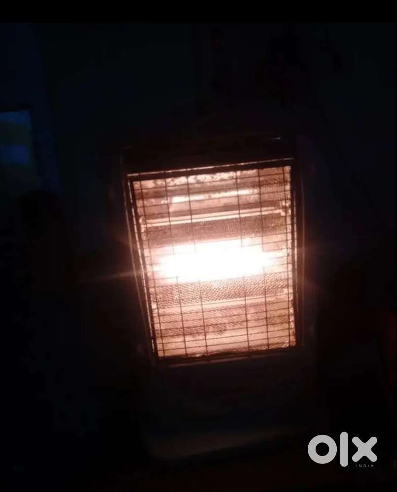 Bajaj majesty halogen heater