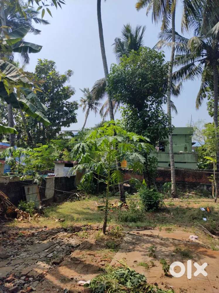 7 Cents at Kamaleshwaram, Manacaud (Near Valiyapally)