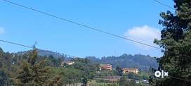 Vacant land in Ooty near boat house