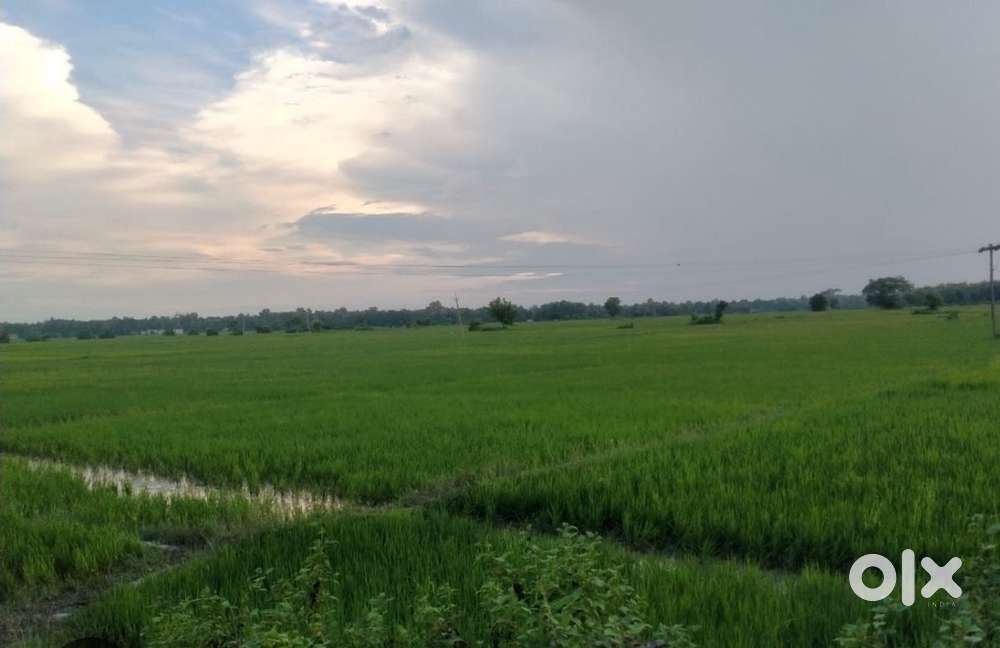 Land for sale 3 kotha 5 lessa opposite of punia petrol pump