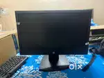 HP V194 monitor