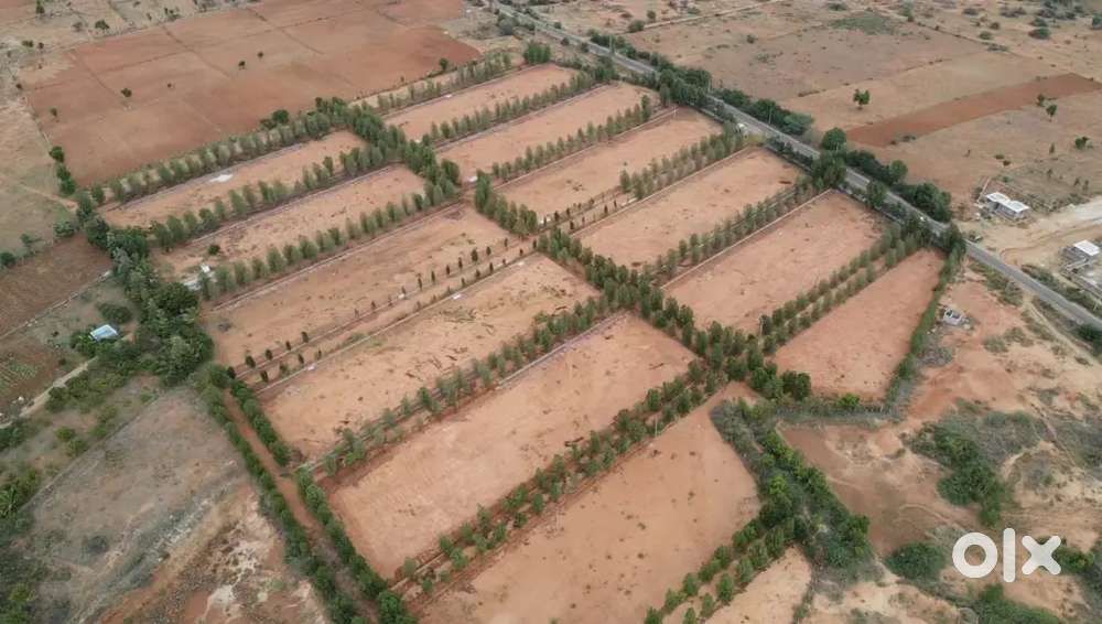 1. DC Converted Residential Plots for Sale – Gauribidanur