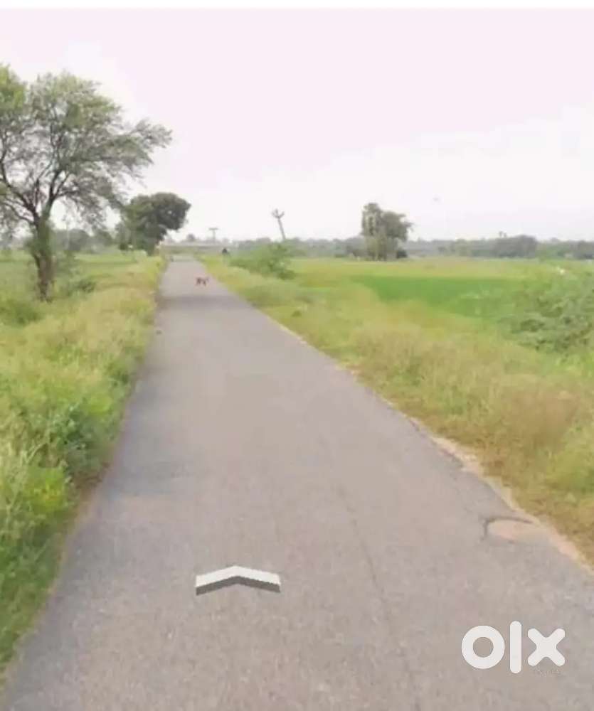 1 acre land in kadamala kalva