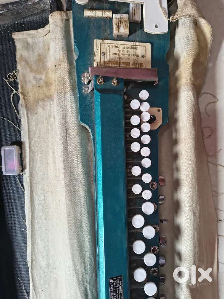 Banjo bulbul tarang in very good condition