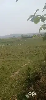 Chhatabara katani Bhubaneswar ree sealing polta