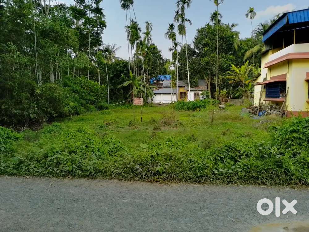 6 katha bastu jomi in gobardaga