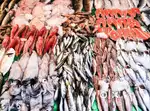 We are looking for sea food cleaning workers