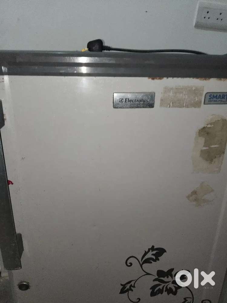 Best refrigerator of electolux company
