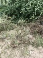 Natarajan garden plot for sale
