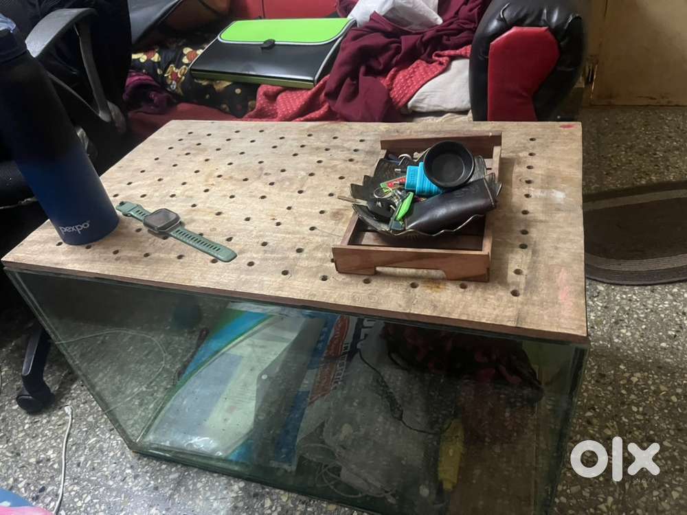 Table teapoy cum aquarium/gerbil/hamster/snake pet tank