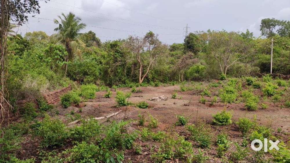 Settlement Plot for Rent / Joint business, Ponda–marcel road